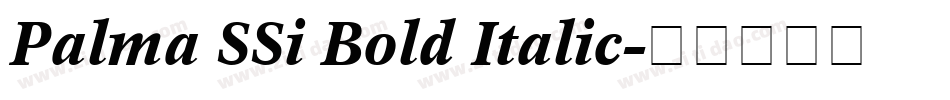 Palma SSi Bold Italic字体转换